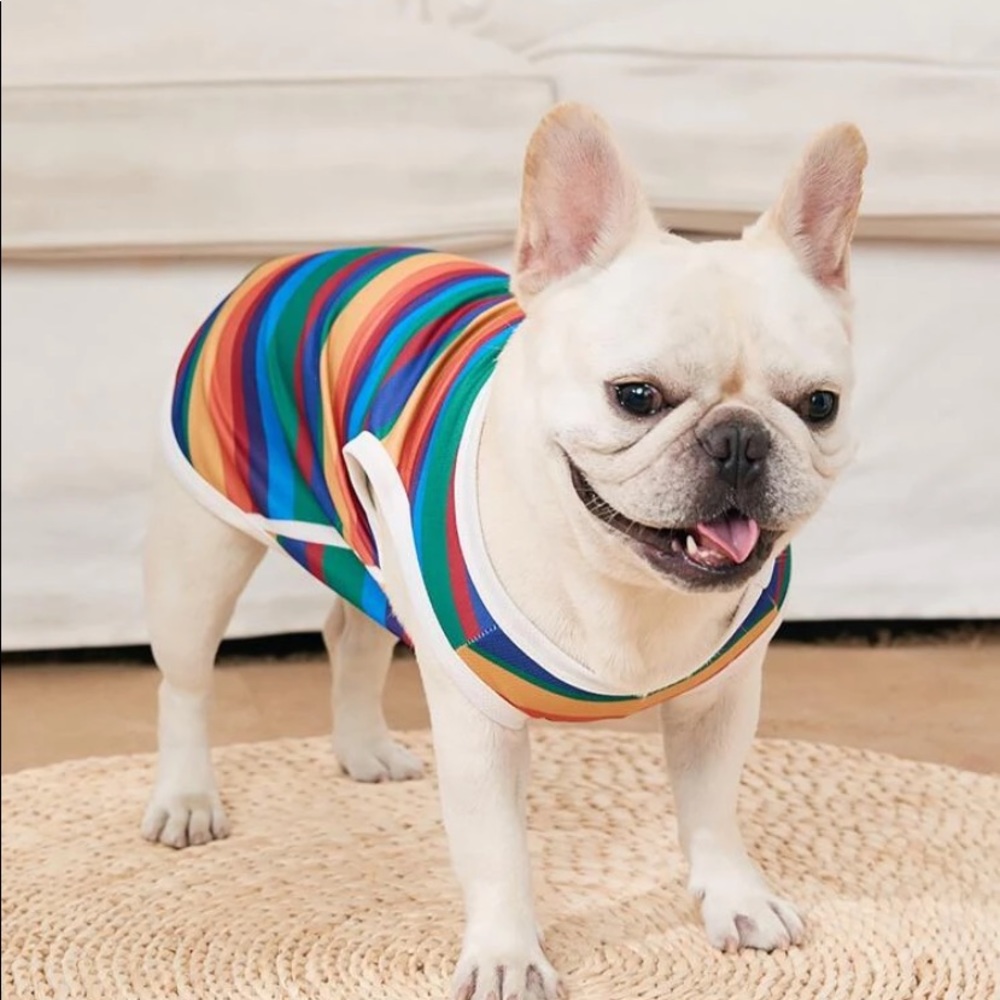 Dog 🐕 🐩 🐶 clothing